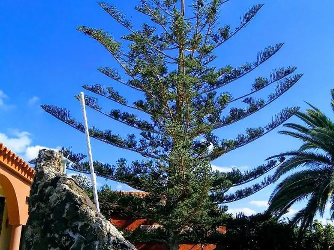 Casa Mami * Lajares